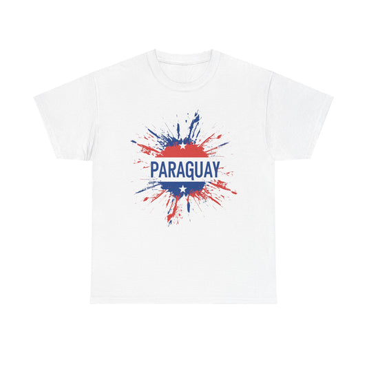 Paraguay Flag Shirt