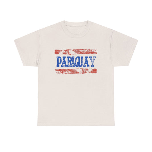 Paraguay Flag Shirt